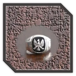 MR00200P-Sterling Silver Onyx Men's Ring.
