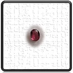 LGRG00200A-3.0ct Rhodolite Garnet.