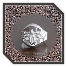 MR00250N-Sterling Silver Men's Ring.