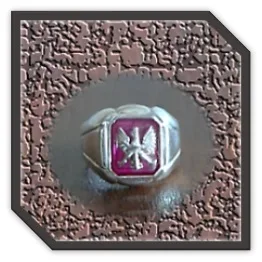 MR00250D-Sterling Silver Synthetic Ruby Men's Ring.